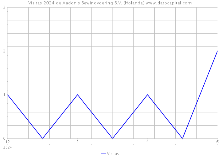 Visitas 2024 de Aadonis Bewindvoering B.V. (Holanda) 