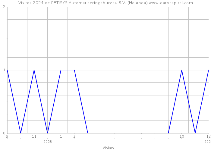 Visitas 2024 de PETISYS Automatiseringsbureau B.V. (Holanda) 