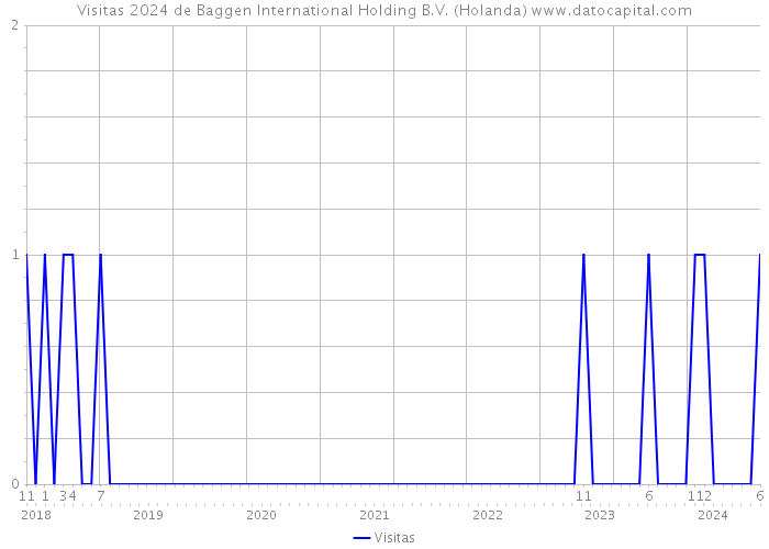 Visitas 2024 de Baggen International Holding B.V. (Holanda) 