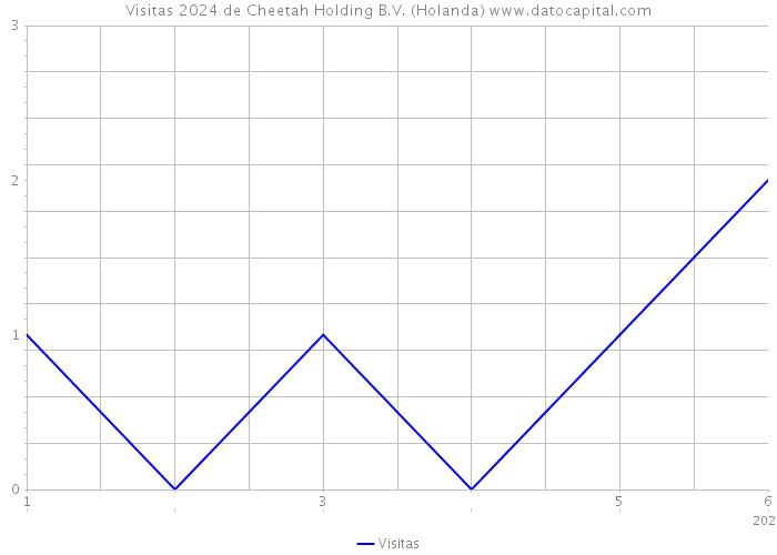 Visitas 2024 de Cheetah Holding B.V. (Holanda) 