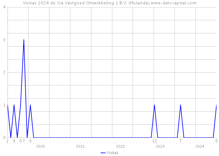 Visitas 2024 de Xia Vastgoed Ontwikkeling 1 B.V. (Holanda) 