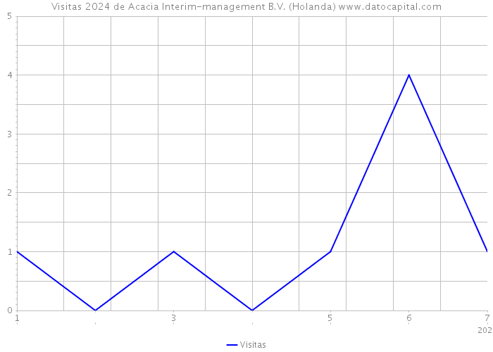 Visitas 2024 de Acacia Interim-management B.V. (Holanda) 