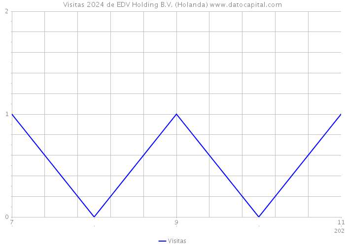 Visitas 2024 de EDV Holding B.V. (Holanda) 