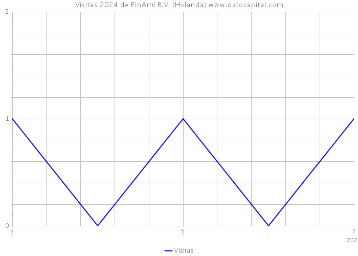 Visitas 2024 de FinAmi B.V. (Holanda) 