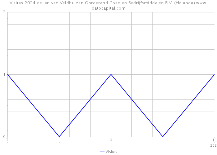 Visitas 2024 de Jan van Veldhuizen Onroerend Goed en Bedrijfsmiddelen B.V. (Holanda) 