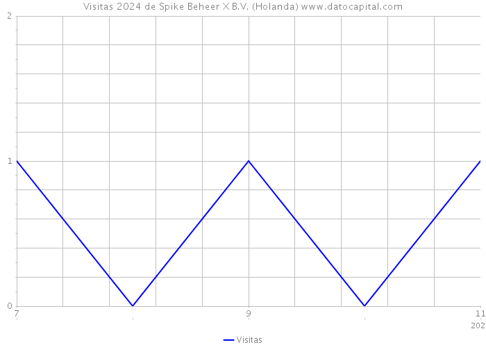 Visitas 2024 de Spike Beheer X B.V. (Holanda) 