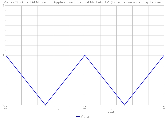 Visitas 2024 de TAFM Trading Applications Financial Markets B.V. (Holanda) 