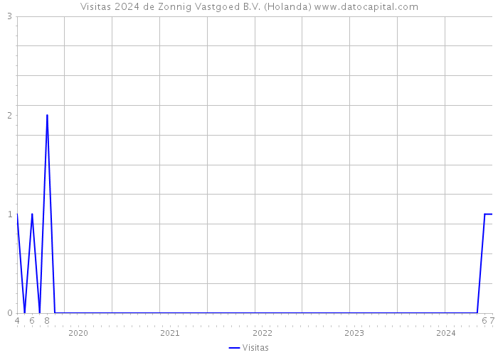 Visitas 2024 de Zonnig Vastgoed B.V. (Holanda) 