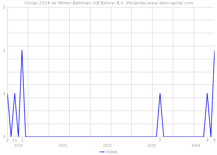 Visitas 2024 de Winter Bahlman VvE Beheer B.V. (Holanda) 
