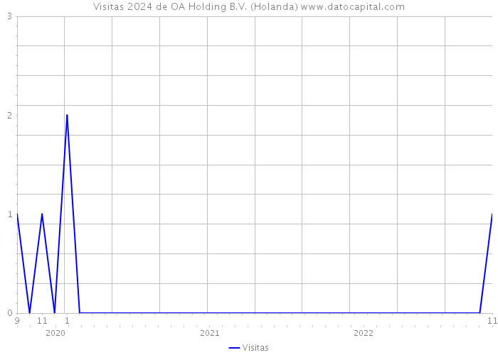 Visitas 2024 de OA Holding B.V. (Holanda) 