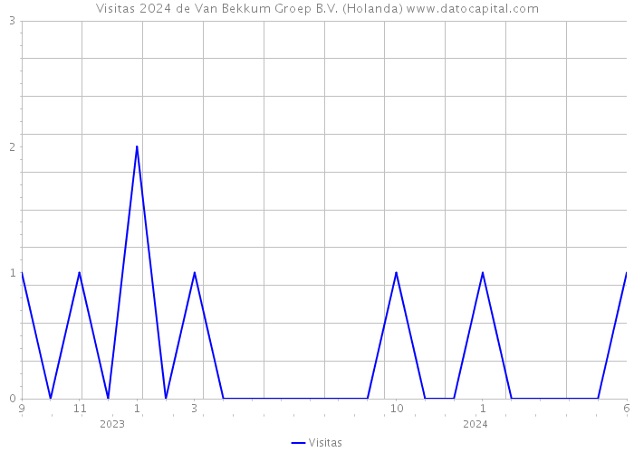 Visitas 2024 de Van Bekkum Groep B.V. (Holanda) 