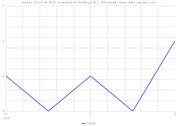 Visitas 2024 de BOA Investment Holdings B.V. (Holanda) 