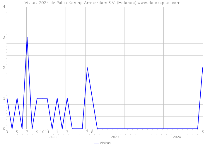 Visitas 2024 de Pallet Koning Amsterdam B.V. (Holanda) 