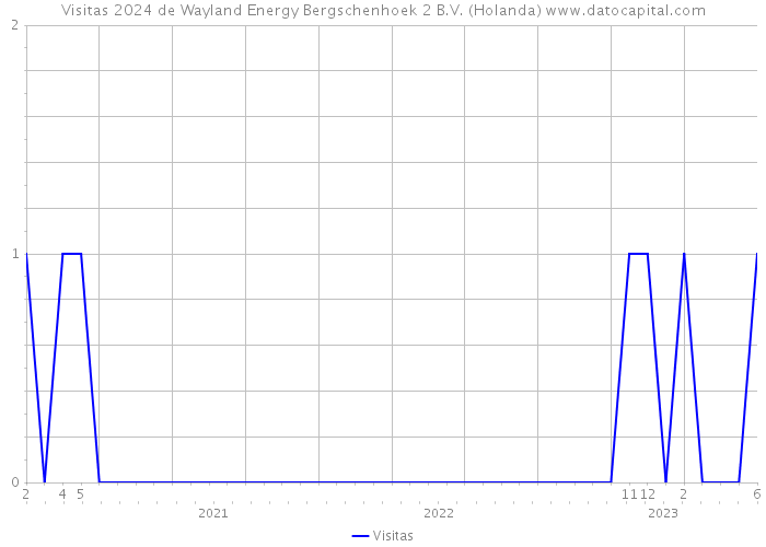 Visitas 2024 de Wayland Energy Bergschenhoek 2 B.V. (Holanda) 
