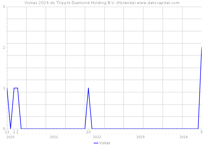 Visitas 2024 de Tripple Diamond Holding B.V. (Holanda) 