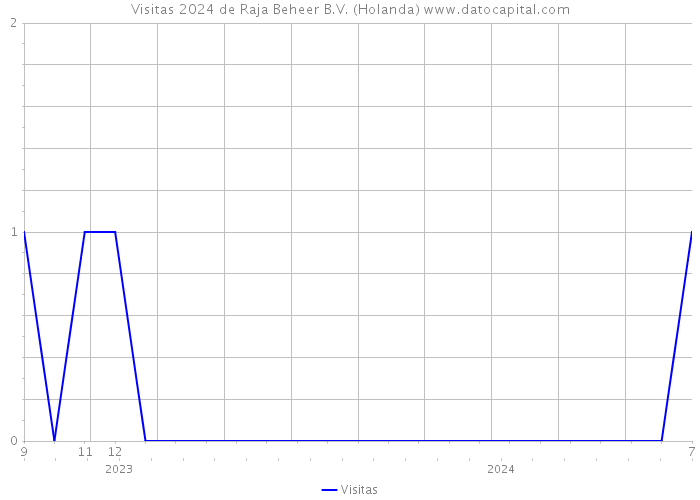 Visitas 2024 de Raja Beheer B.V. (Holanda) 