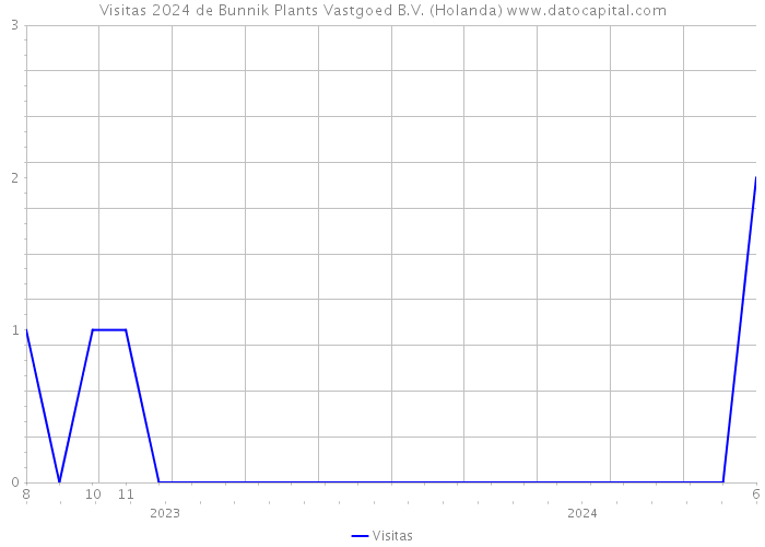 Visitas 2024 de Bunnik Plants Vastgoed B.V. (Holanda) 