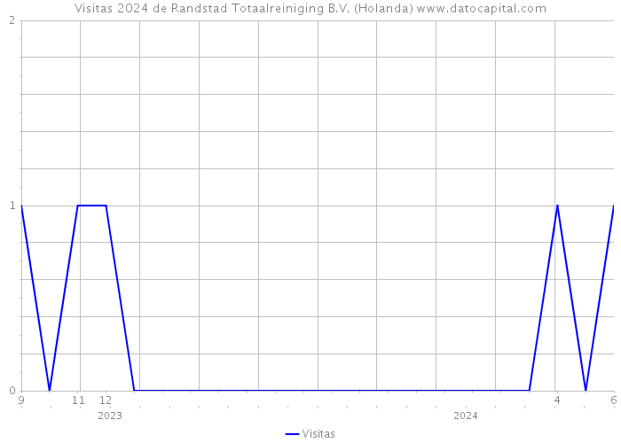 Visitas 2024 de Randstad Totaalreiniging B.V. (Holanda) 