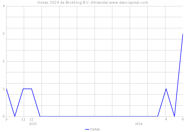 Visitas 2024 de Brokking B.V. (Holanda) 