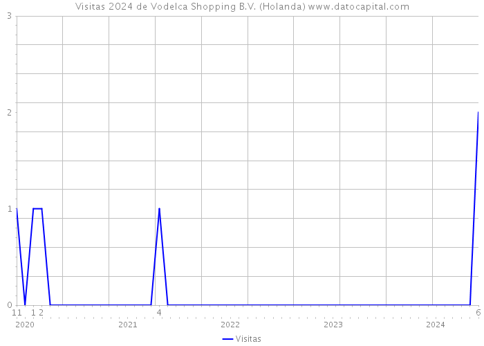 Visitas 2024 de Vodelca Shopping B.V. (Holanda) 