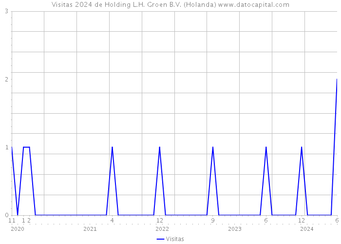 Visitas 2024 de Holding L.H. Groen B.V. (Holanda) 