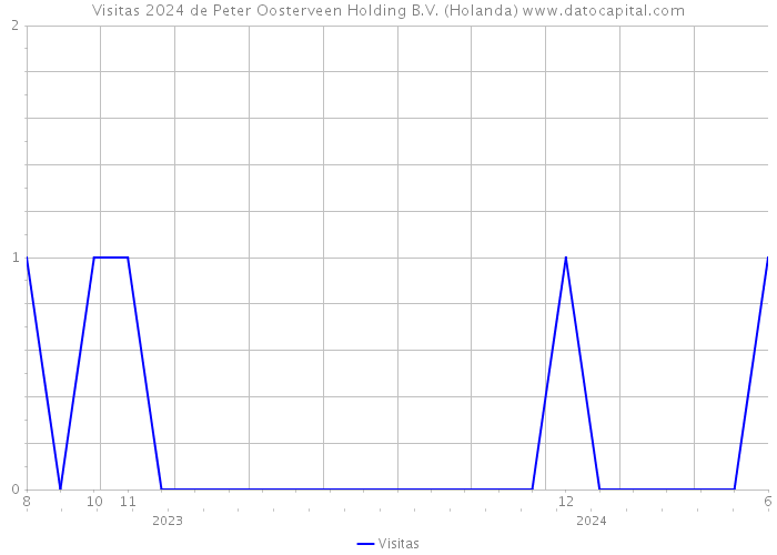 Visitas 2024 de Peter Oosterveen Holding B.V. (Holanda) 