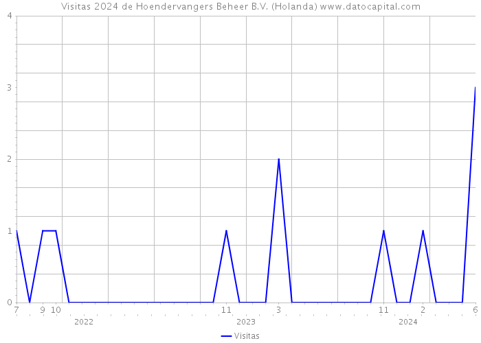 Visitas 2024 de Hoendervangers Beheer B.V. (Holanda) 