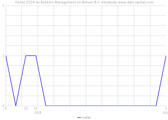 Visitas 2024 de Bokkers Management en Beheer B.V. (Holanda) 