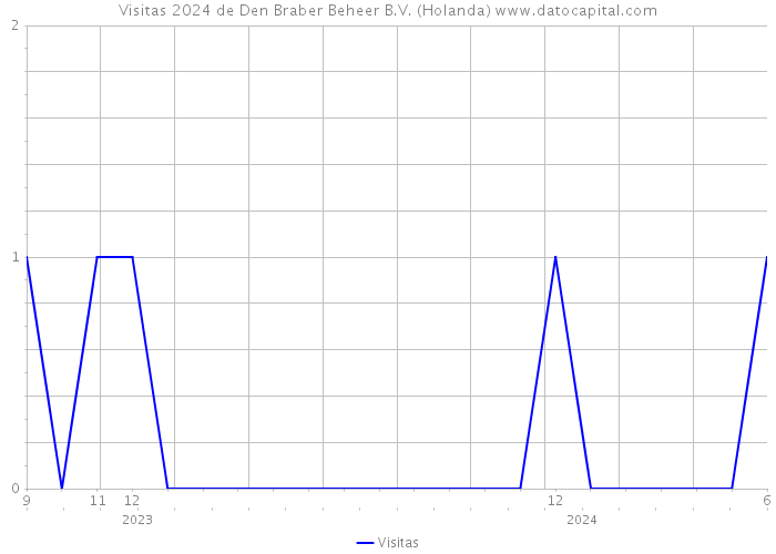 Visitas 2024 de Den Braber Beheer B.V. (Holanda) 