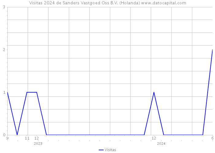 Visitas 2024 de Sanders Vastgoed Oss B.V. (Holanda) 