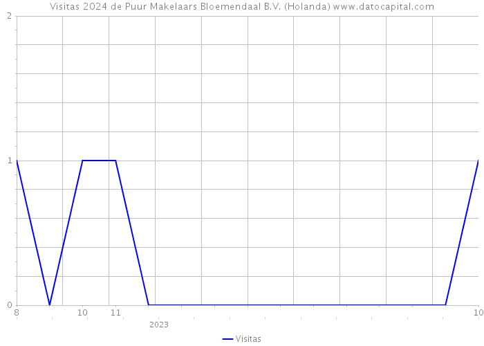 Visitas 2024 de Puur Makelaars Bloemendaal B.V. (Holanda) 