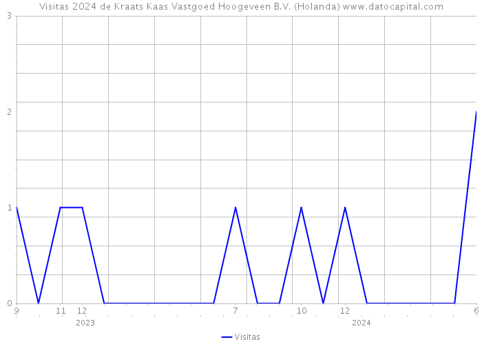 Visitas 2024 de Kraats Kaas Vastgoed Hoogeveen B.V. (Holanda) 