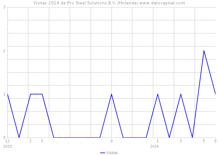 Visitas 2024 de Pro Steel Solutions B.V. (Holanda) 