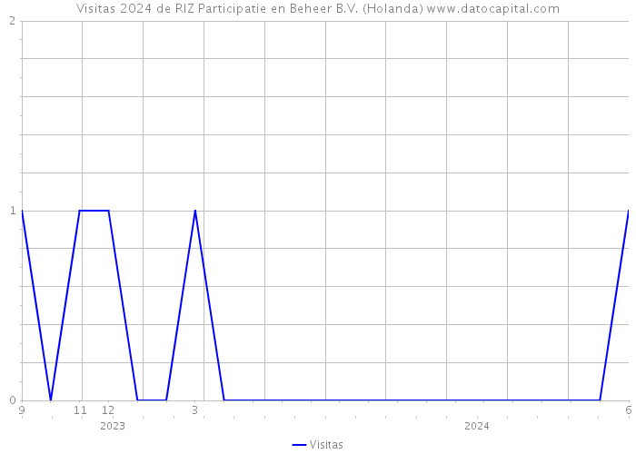 Visitas 2024 de RIZ Participatie en Beheer B.V. (Holanda) 