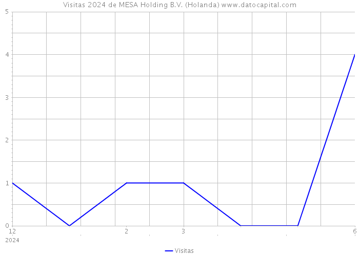 Visitas 2024 de MESA Holding B.V. (Holanda) 