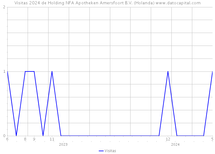 Visitas 2024 de Holding NFA Apotheken Amersfoort B.V. (Holanda) 