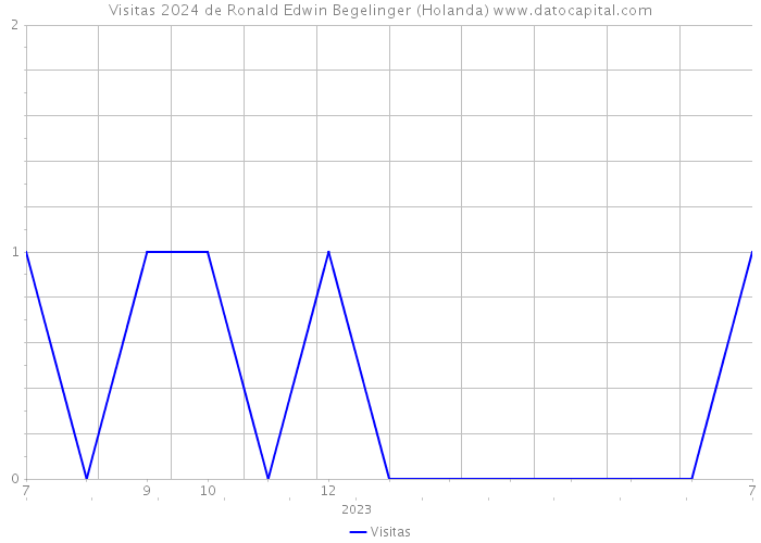 Visitas 2024 de Ronald Edwin Begelinger (Holanda) 