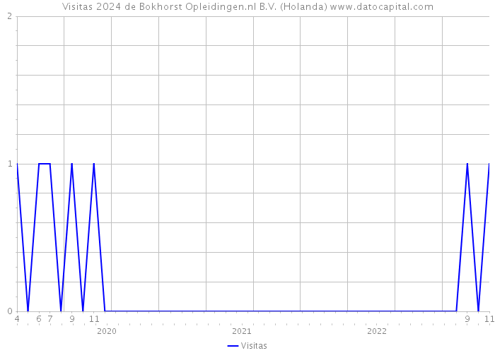 Visitas 2024 de Bokhorst Opleidingen.nl B.V. (Holanda) 