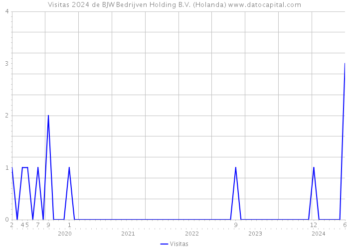 Visitas 2024 de BJW Bedrijven Holding B.V. (Holanda) 