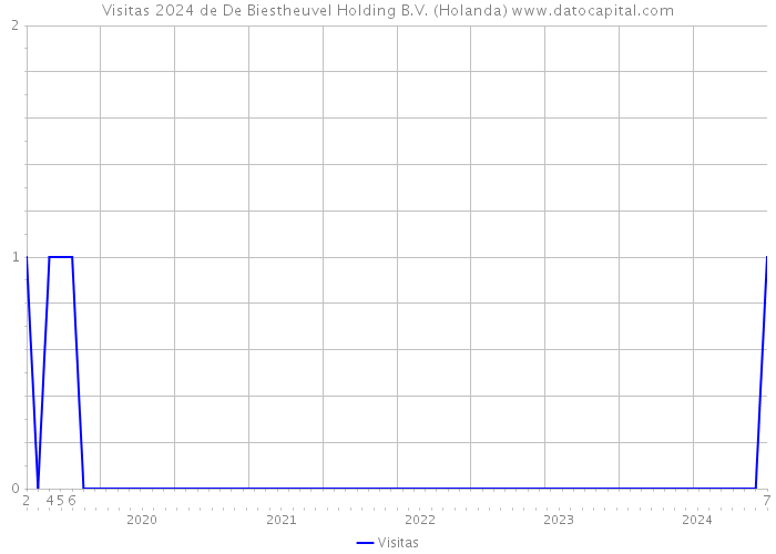 Visitas 2024 de De Biestheuvel Holding B.V. (Holanda) 