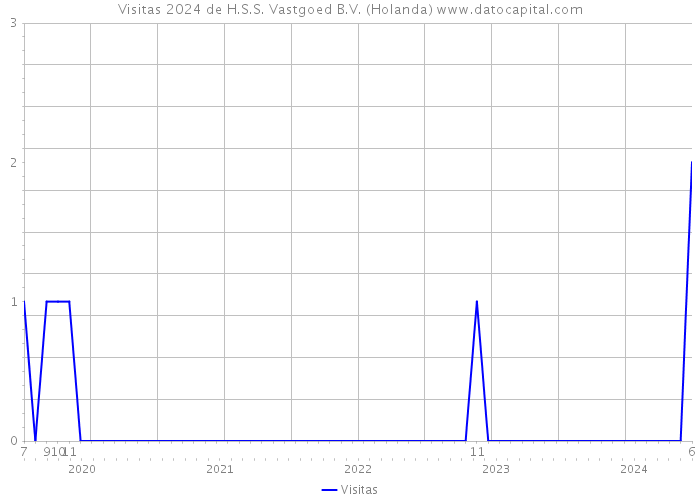 Visitas 2024 de H.S.S. Vastgoed B.V. (Holanda) 