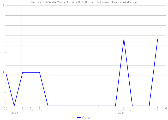 Visitas 2024 de Wallerbosch B.V. (Holanda) 