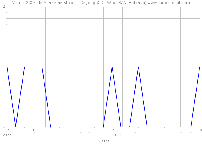 Visitas 2024 de Aannemersbedrijf De Jong & De Wilde B.V. (Holanda) 