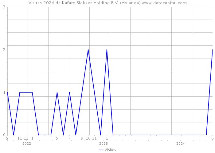 Visitas 2024 de Kafam Blokker Holding B.V. (Holanda) 