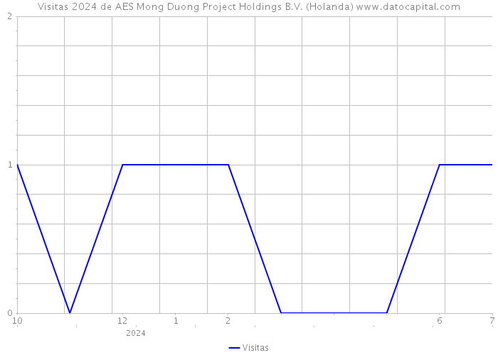 Visitas 2024 de AES Mong Duong Project Holdings B.V. (Holanda) 