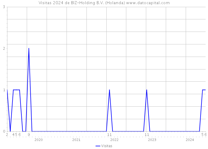 Visitas 2024 de BIZ-Holding B.V. (Holanda) 