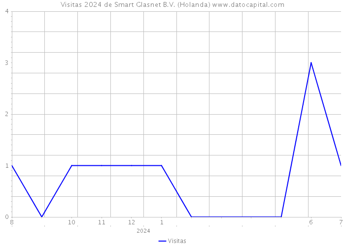 Visitas 2024 de Smart Glasnet B.V. (Holanda) 