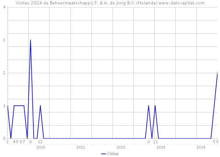 Visitas 2024 de Beheermaatschappij F. & A. de Jong B.V. (Holanda) 