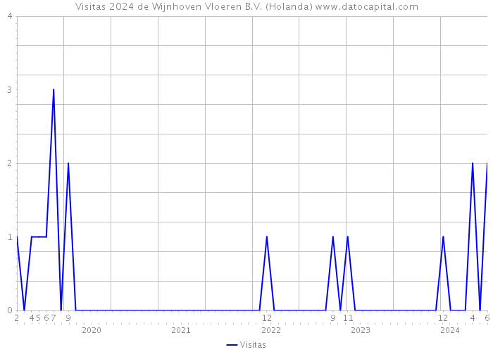 Visitas 2024 de Wijnhoven Vloeren B.V. (Holanda) 