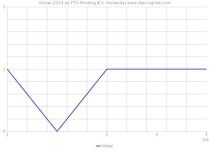 Visitas 2024 de FTV Holding B.V. (Holanda) 